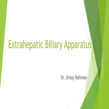 Extrahepatic Biliary Apparatus