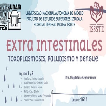 Extraintestinales  toxoplasmosis, paludismo y dengue