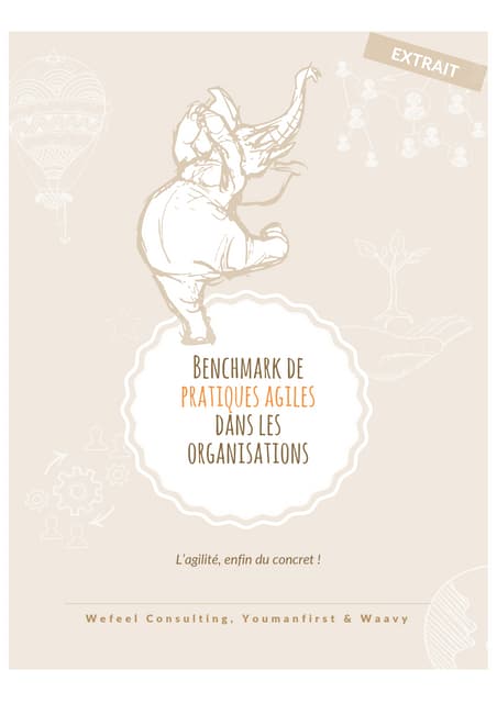 Extrait benchmark pratiques agiles dans les organisations
