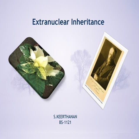 Extranuclear inheritance