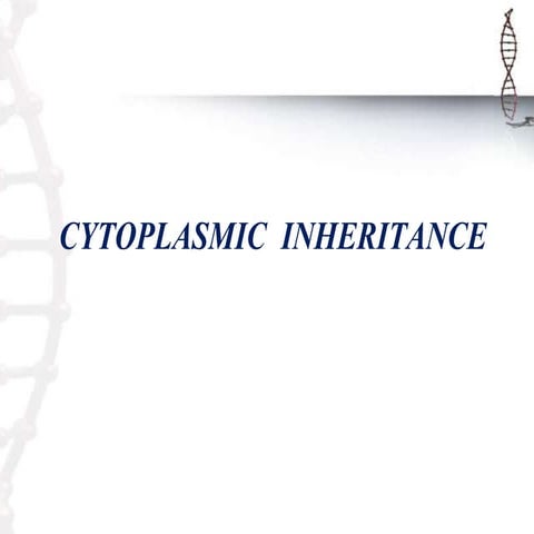 Extra nuclear inheritance