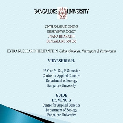 Extra nuclear inheritance