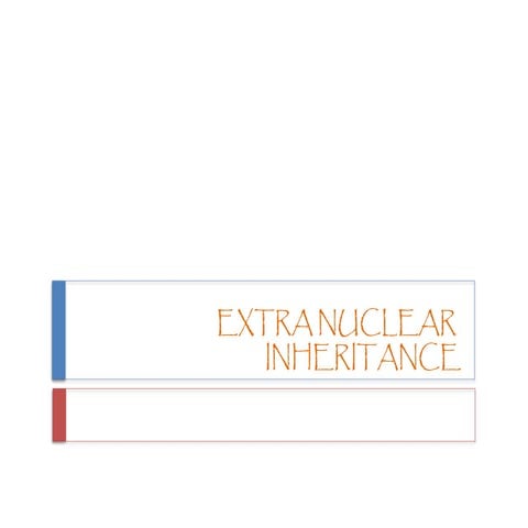 EXTRA NUCLEAR  INHERITANCE              .pptx