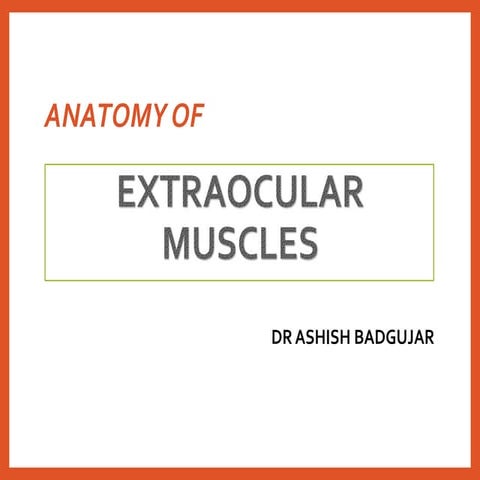 Extraocular muscles
