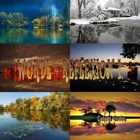 Extraordinaires photos11