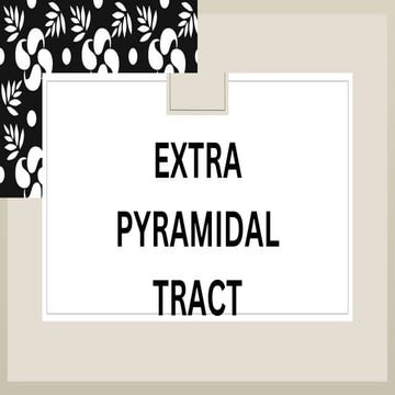 Extra Pyramidal Tracts of the decending tracts.pptx