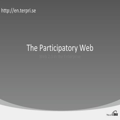 Extreme Productivity in the Enterprise The User is the Developer is the User