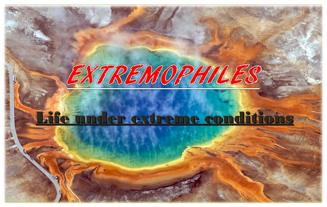 Extremophiles