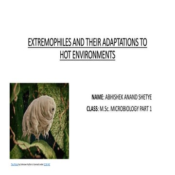 Extremophiles and their adaptations to hot environments