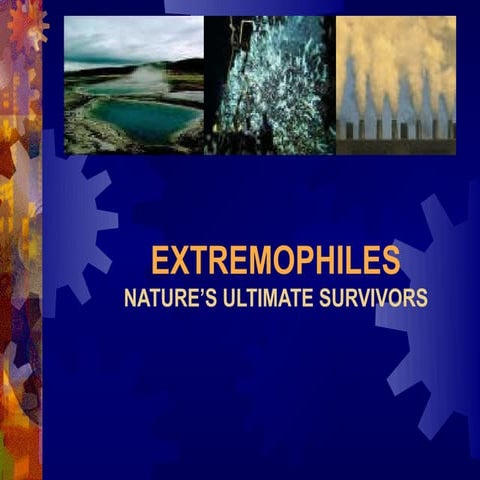 Extremophiles imp. 1