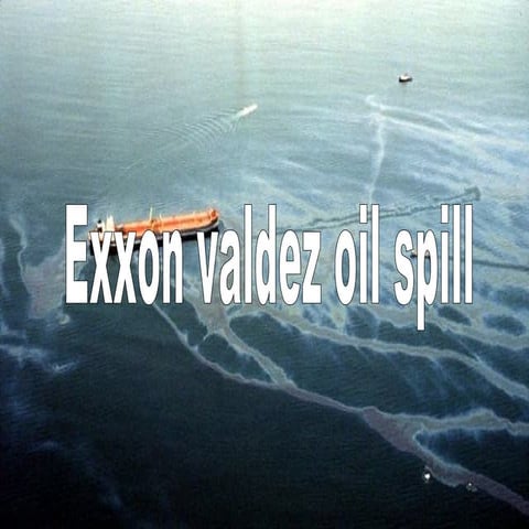 Exxon valdez  gulf of mexico oil spill
