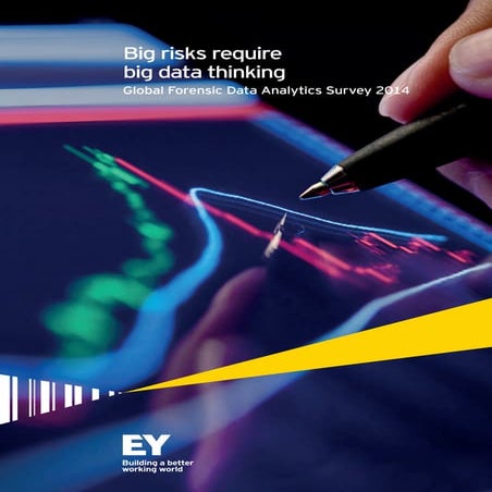 Big risks require big data thinking, Global Forensic Data Analytics Survey 2014