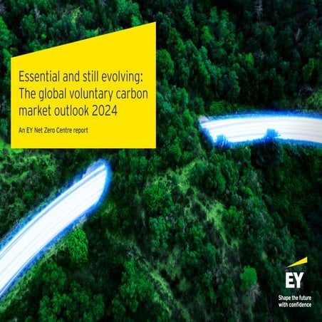 Scaling Voluntary Carbon Markets for Climate Action (1).pptx