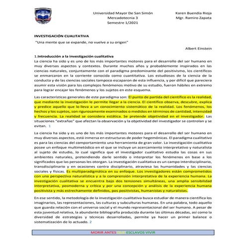 Investigación Cualitativa 