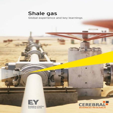 Ey & Cerebral Business Research Shale Gas Report