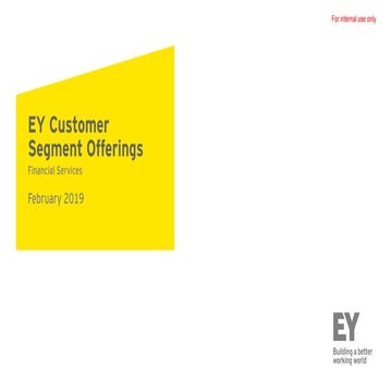 EY Customer Segment Offerings