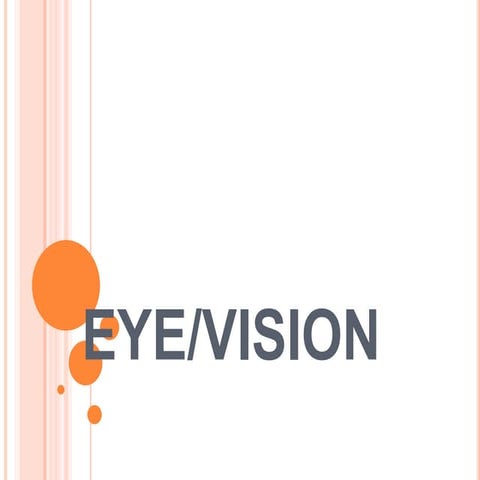 Eye vision