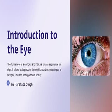 Comprehensive Overview of Human Eye Anatomy and Common Eye Conditions ...