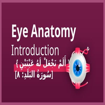 Comprehensive Overview of Human Eye Anatomy and Function | PPTX
