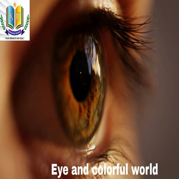 Eye and colorful world reflection and refraction