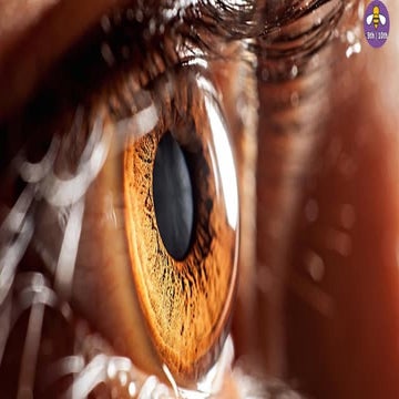 Class 10 Eye and colourful world notes.pdf