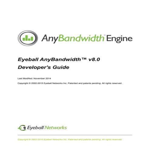 Eyeball AnyBandwidth Engine V8.0 Developer’s Guide