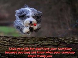 YOUNG RUCKUS QUOTE BOOK #2 | PPT