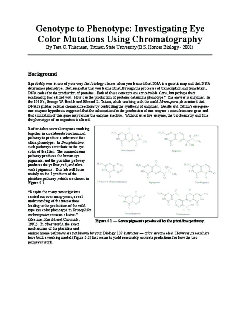 Eye color mutations chromatography drosophila