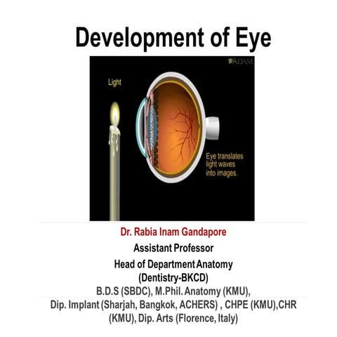 Eye Development by Dr. Rabia Inam Gandapore.pptx