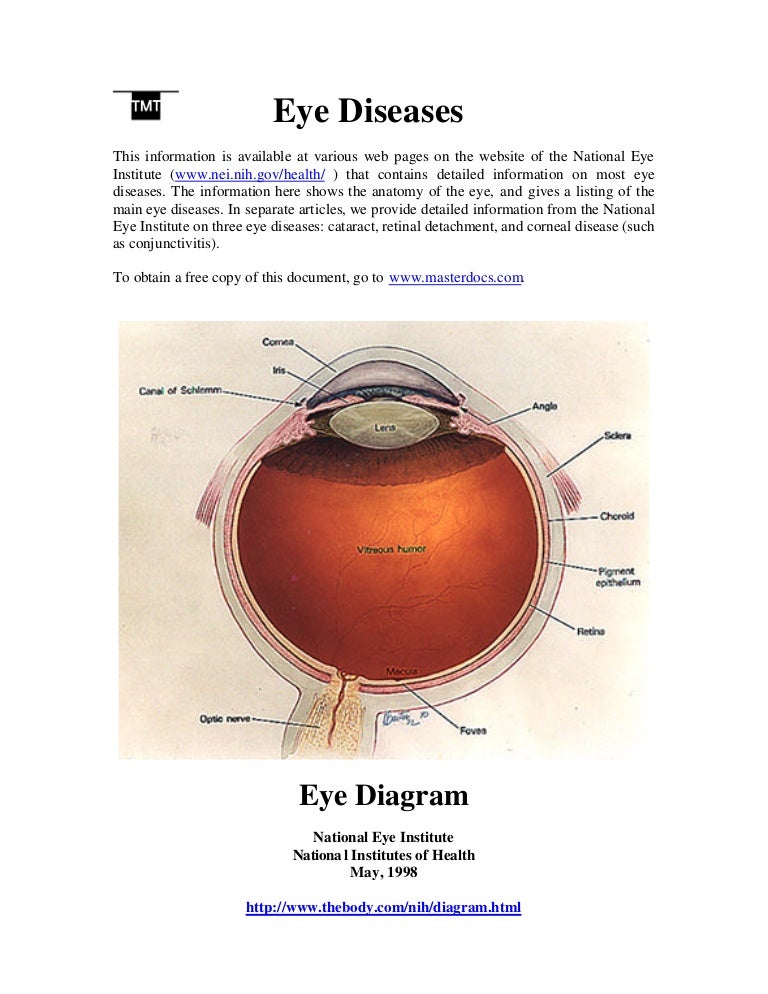 Eye Diseases