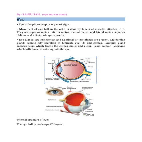 Structure and Functions of the Eye and the Ear | PPTX