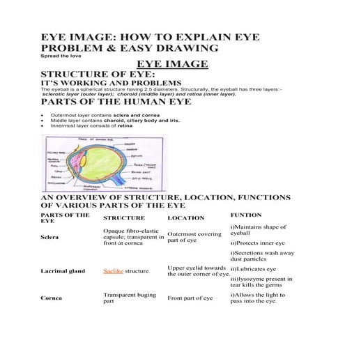 EYE IMAGE.docx