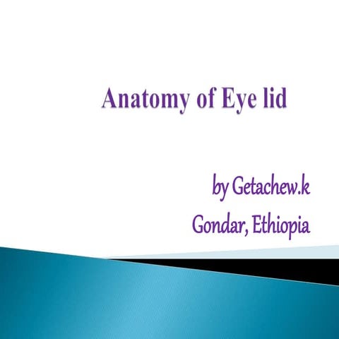 eyelid anatomy slideshare