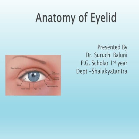 Anatomy of the eyelids | PPTX