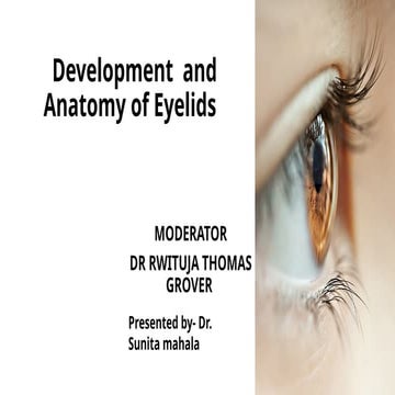 Anatomy of the eyelids | PPTX