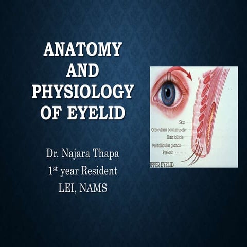 Eyelid anatomy and physiology