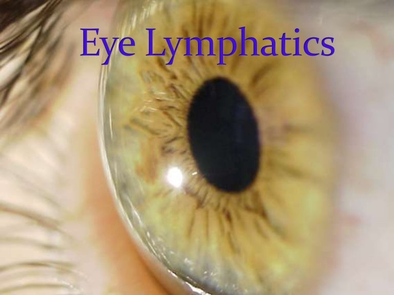 Eye lymphatics