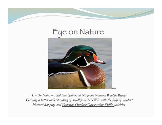 Eye on nature 2014