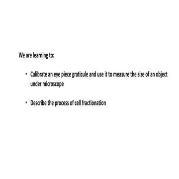 Eye piece graticule calibration