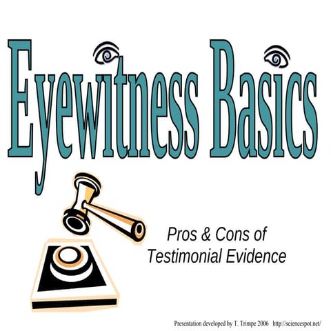 Eye Witness basics