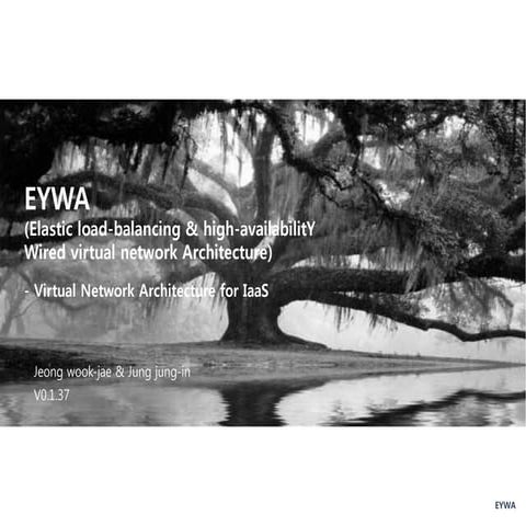 EYWA (Elastic load-balancing & high-availabilitY Wired virtual network Archit...