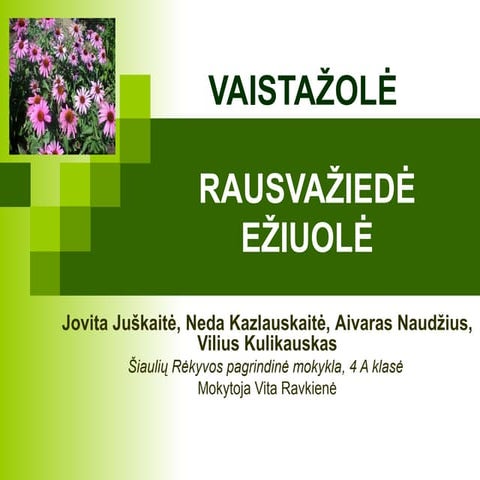 Eziuole2