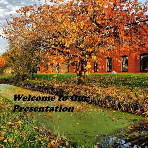 Eutrophication & the Process of Eutrophication