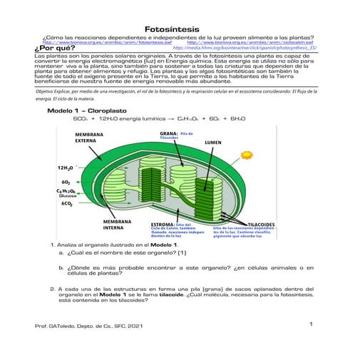 Fotosíntesis, Guía basada en la metodología POGIL, para primeros medios