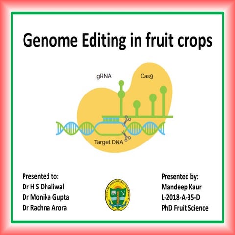 Genome Editing in Fruit Crops