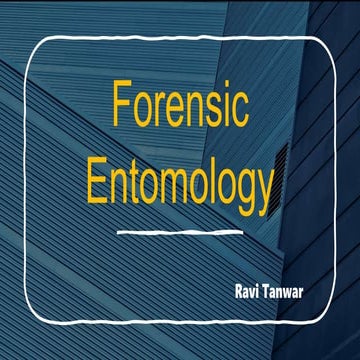 Forensic entomology collection, preservation evidence