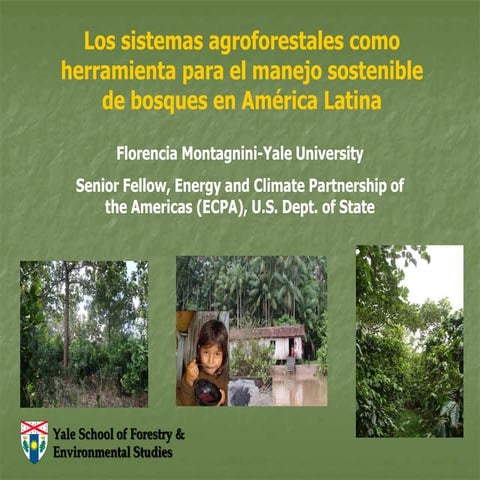 Sistemas Agroforestales como Herramienta de Manejo Sostenible