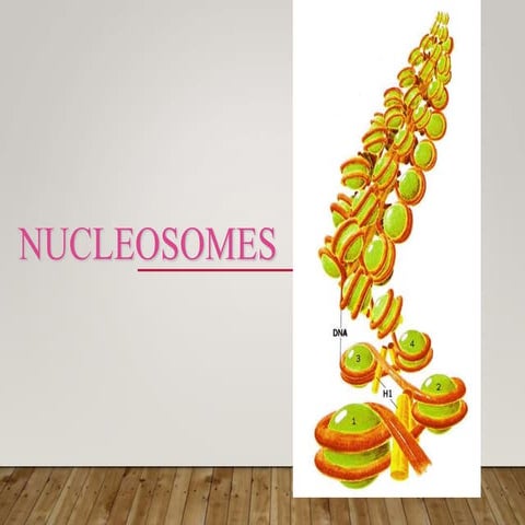 F-NUCLEOSOMES.ppt