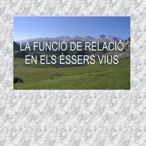 La funció de relació en els éssers vius