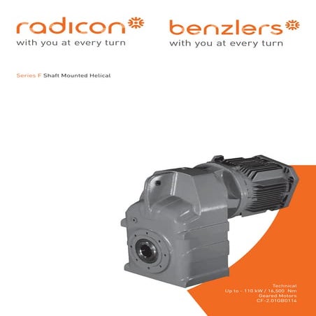 Мотор-редукторы серии F Benzlers